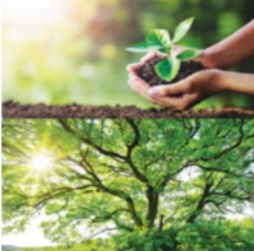 PMI is committed to reaching the peak carbon emissions by 2030 & carbon neutrality by 2050